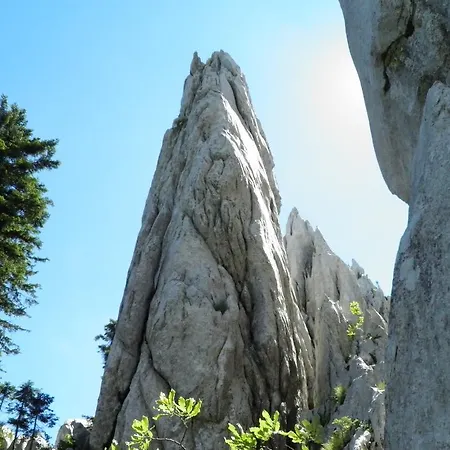 Doris מרקופאלי