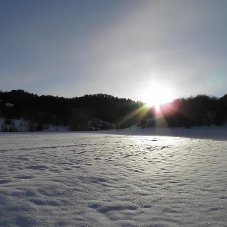 Doris מרקופאלי