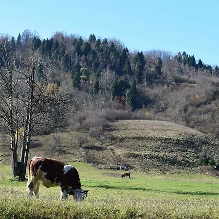 דירה Doris מרקופאלי