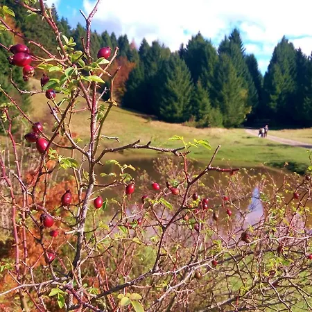 Doris Appartement Mrkopalj