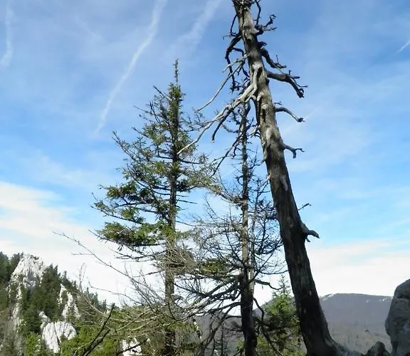 Διαμέρισμα Doris *