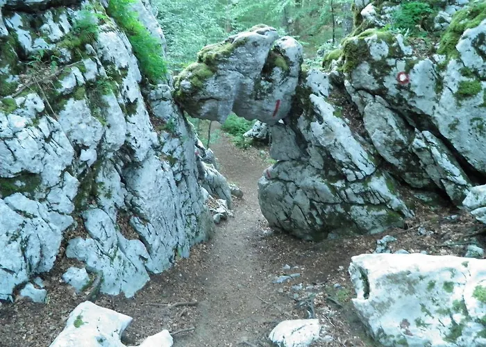 Διαμέρισμα Doris Mrkopalj