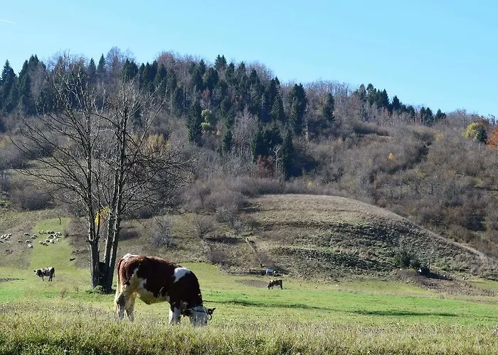 Διαμέρισμα Doris Mrkopalj