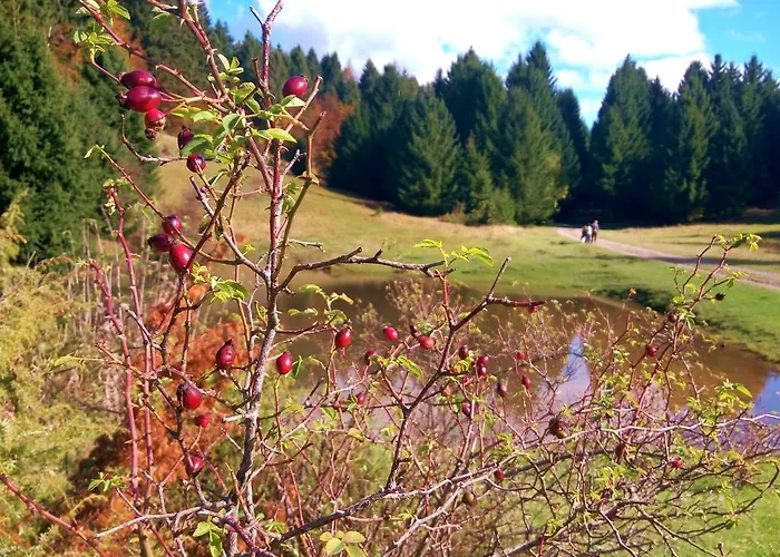 Doris Διαμέρισμα Mrkopalj